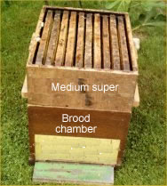 Brood chamber with medium super